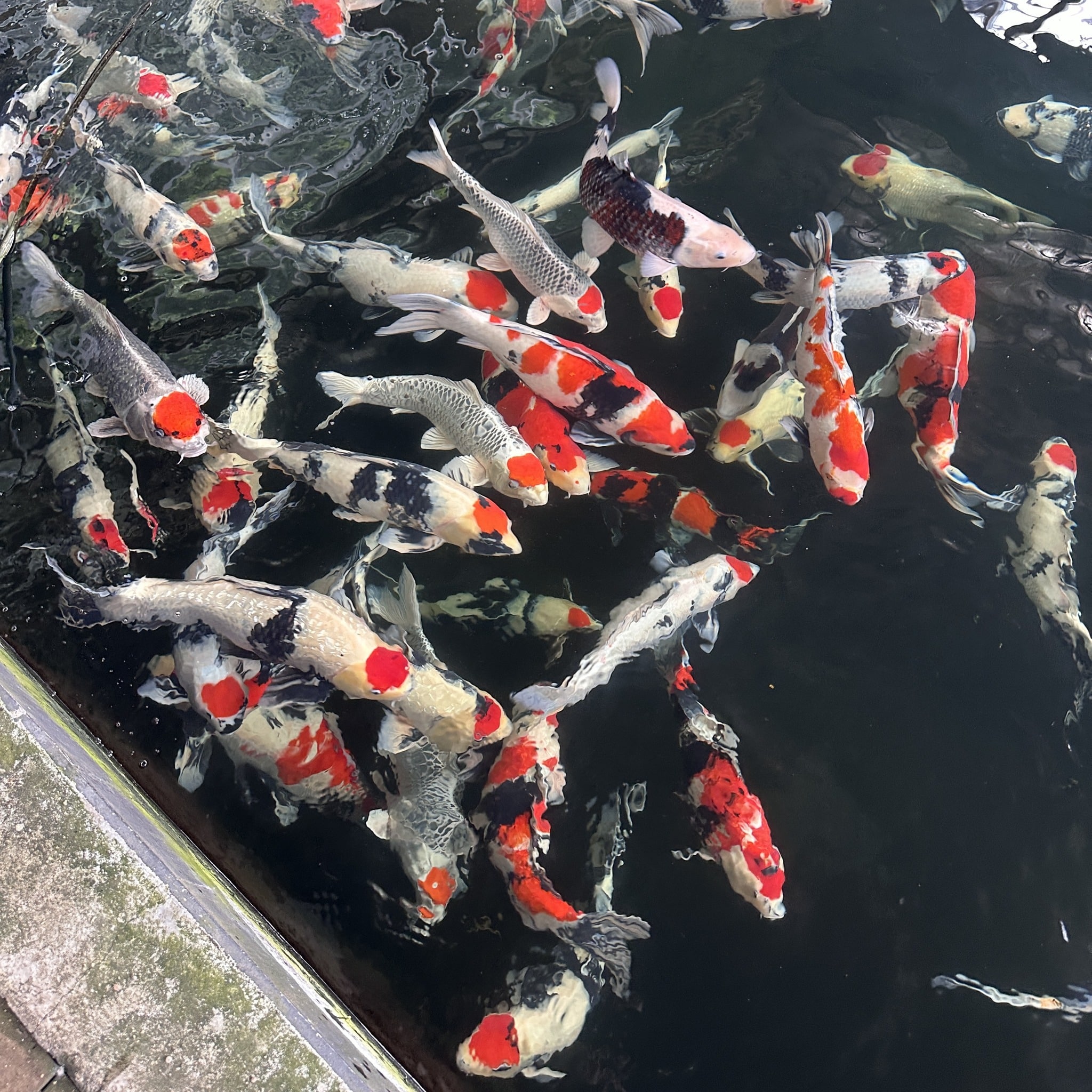 456960545_898672368956841_8655953023280895037_n