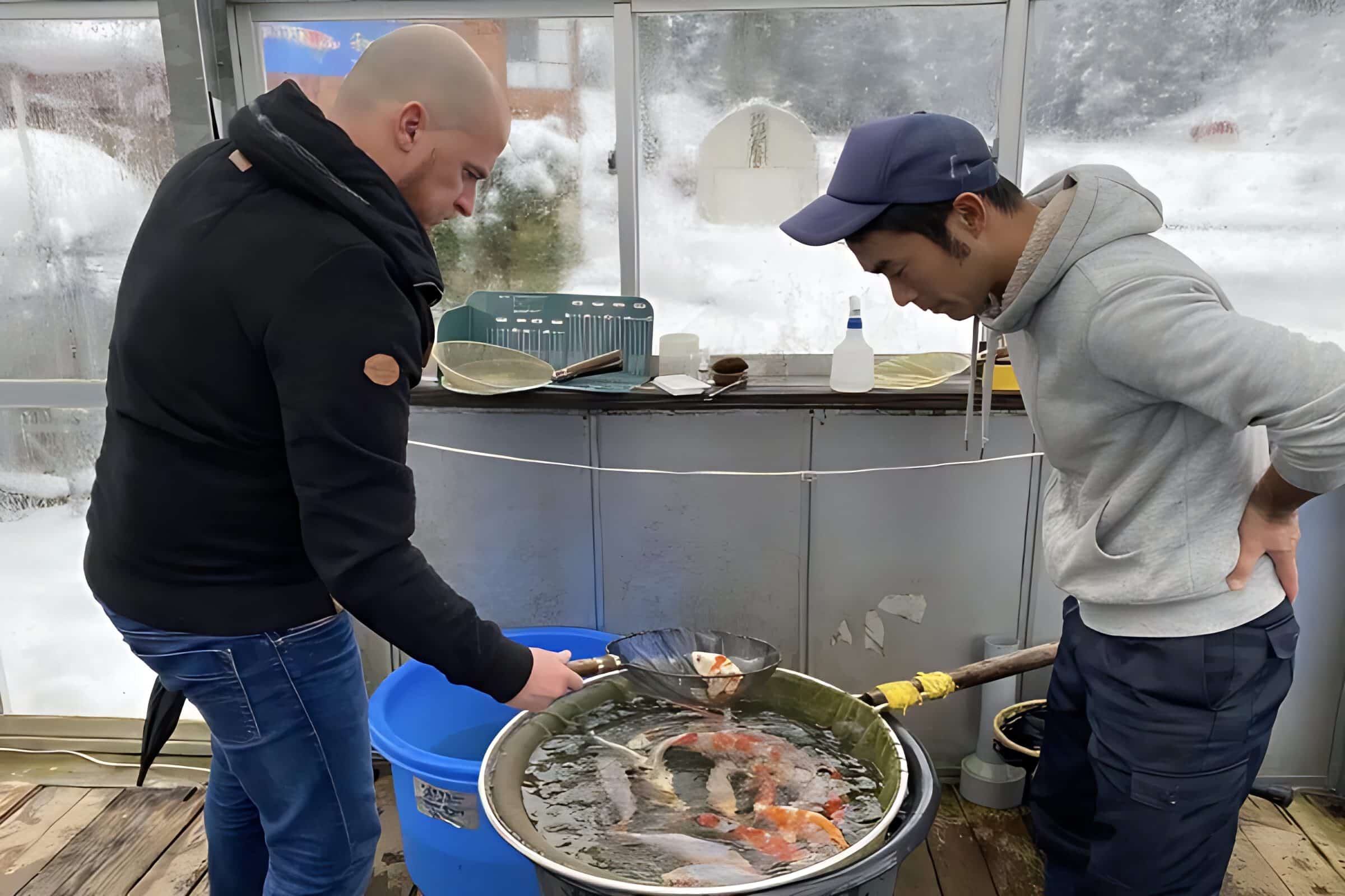 866279a9-7c9c-46f1-8208-dd1d27726f4b_out-2400x1600