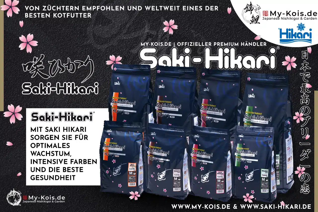 Saki Hikari koiFutter my-kois koi experte saarland
