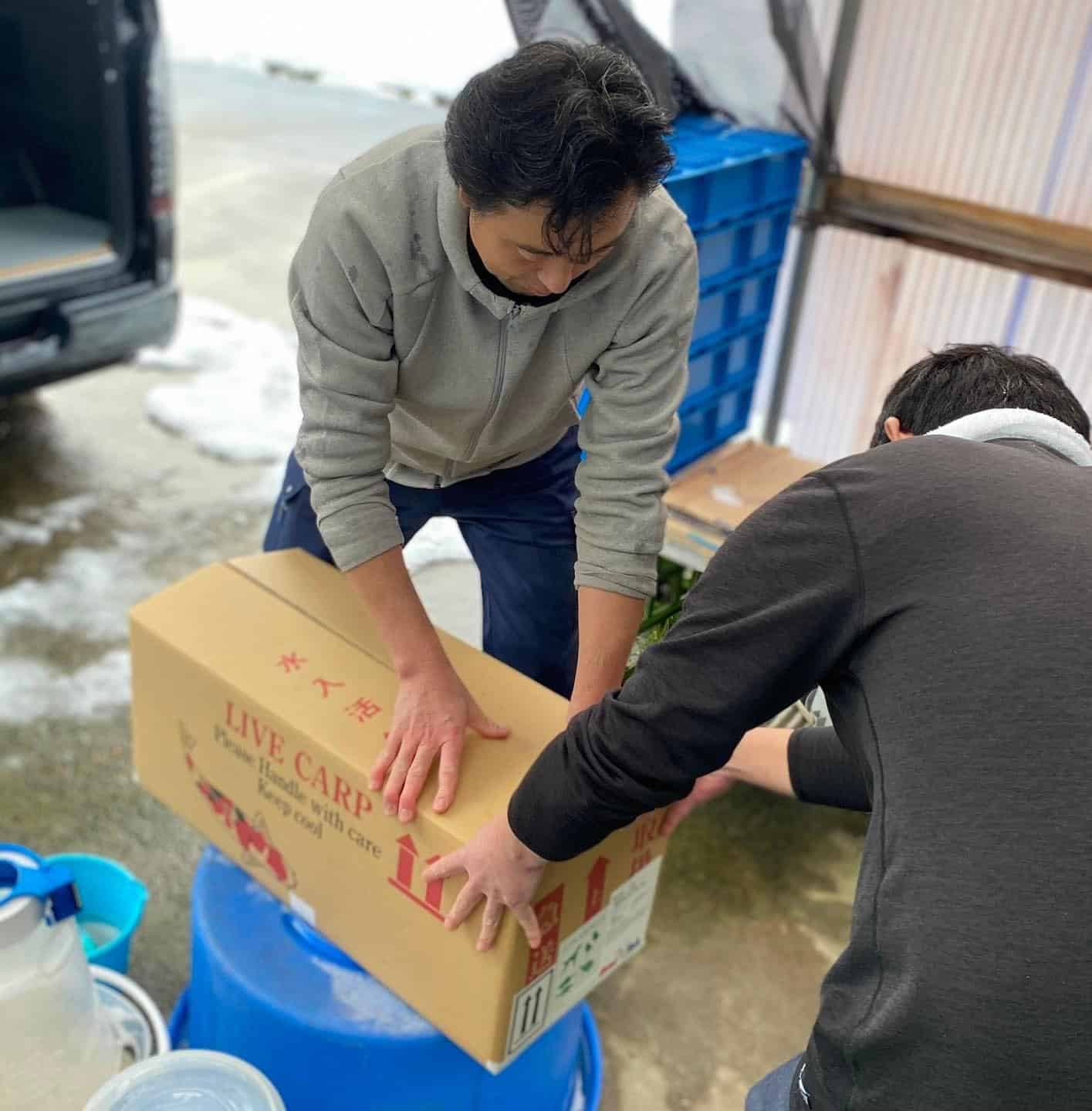 IMG_2082 Koi Auktionen