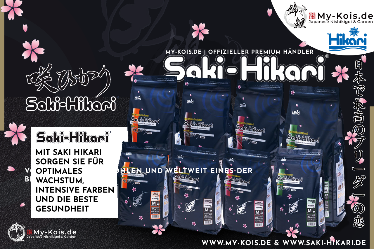 Koifutter von Saki Hikari